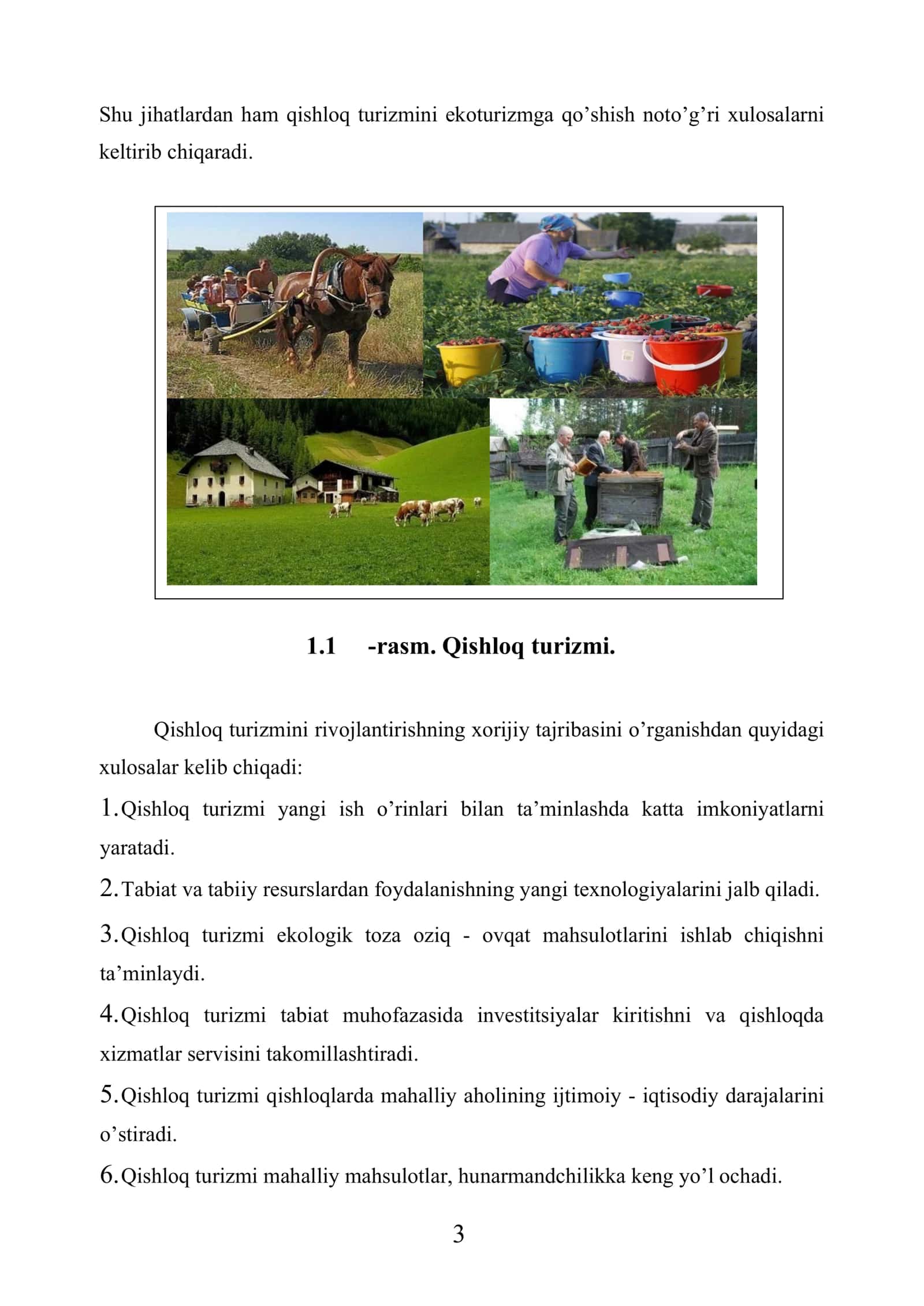 Xorijda qishloq turizmini rivojlantirish tajribasi 3