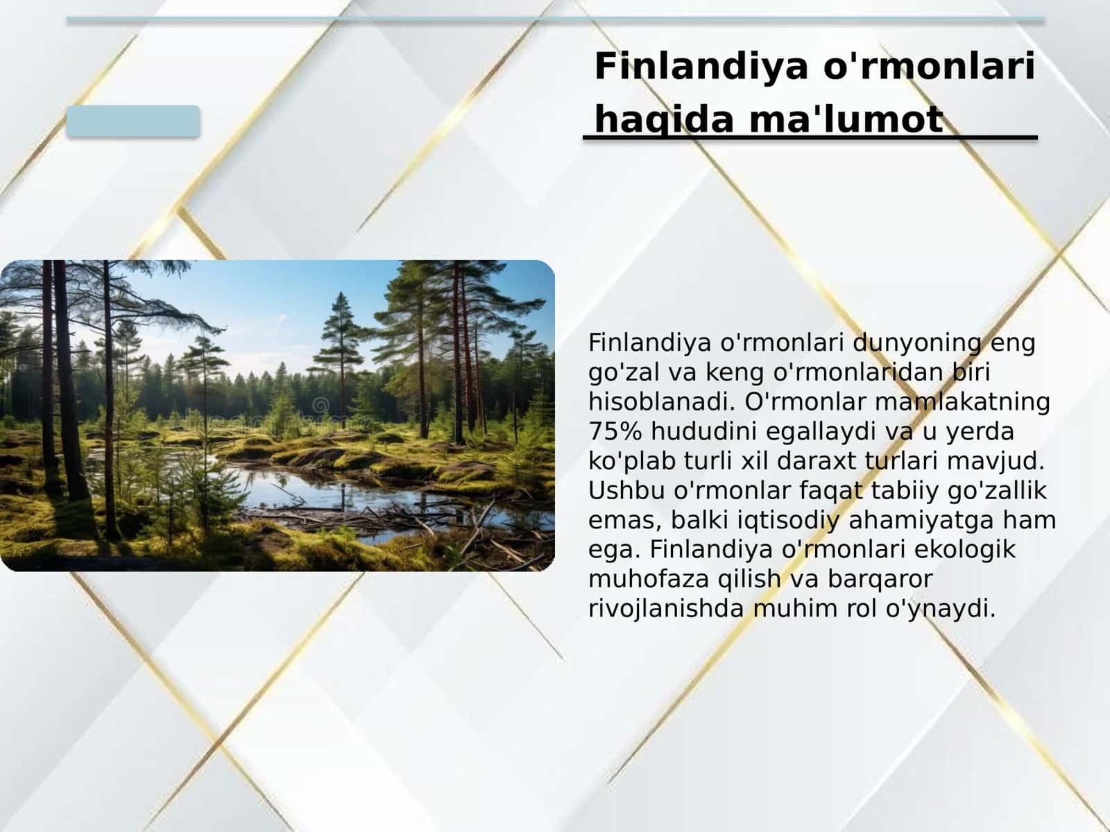 Finlandiya o'rmonlar va ko‘llar ekoturizmi 3