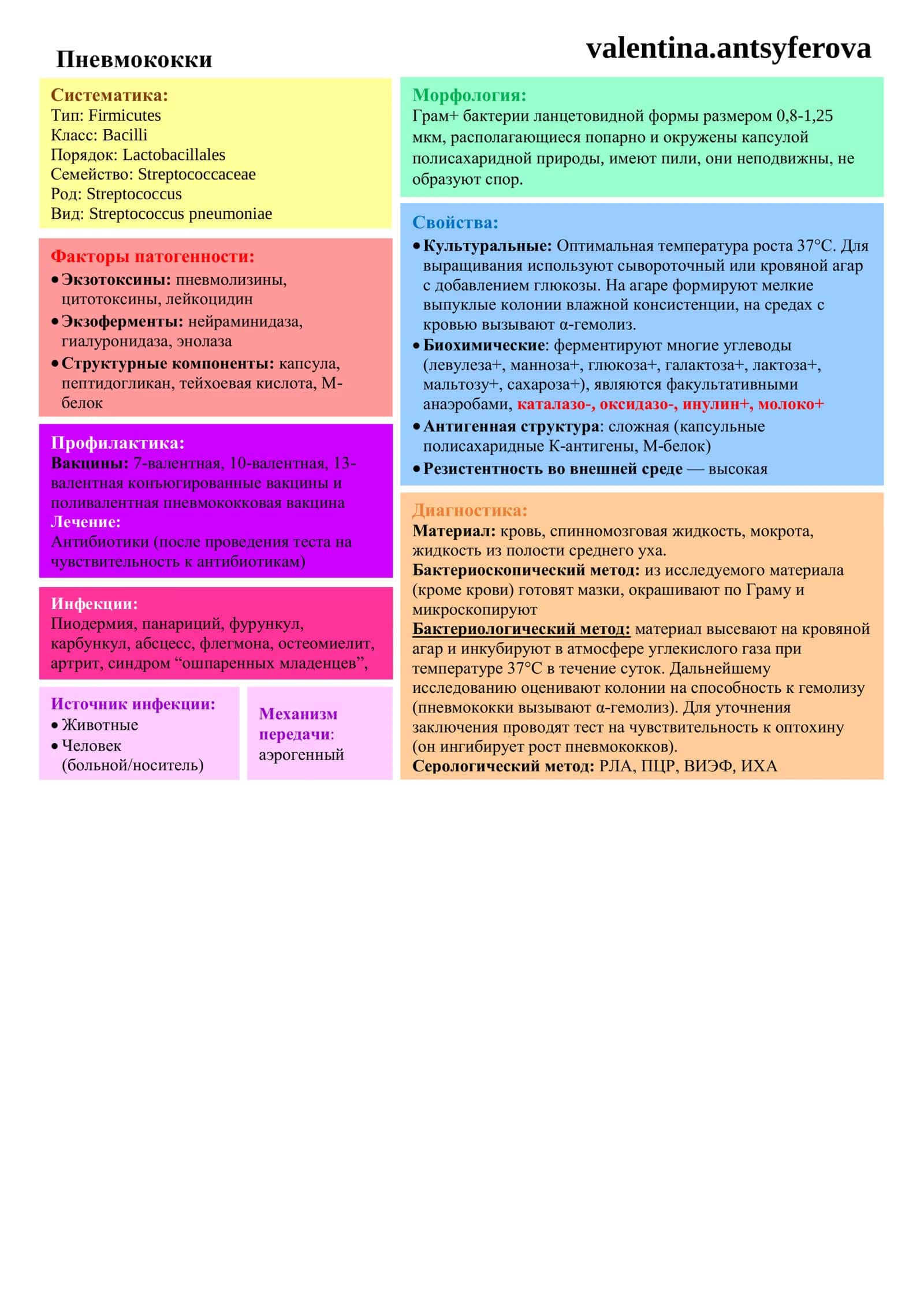 Стафилококки 3