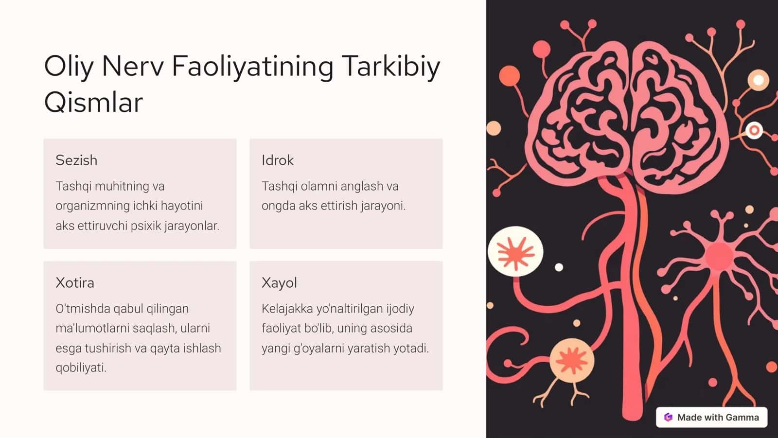 Oliy Nerv Faoliyati 3