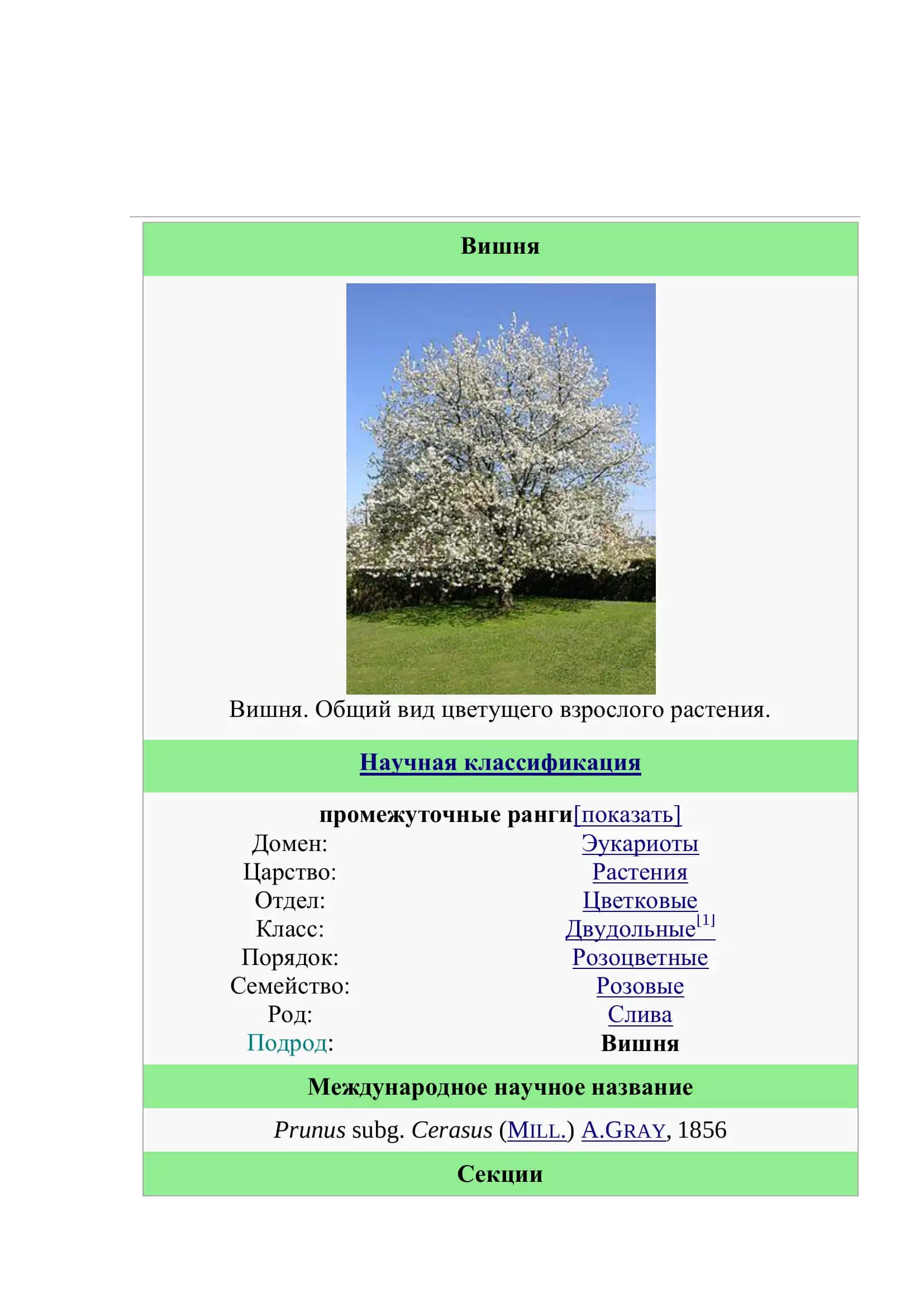 Свойства плодов вишни (Cerasus vulgaris) 3
