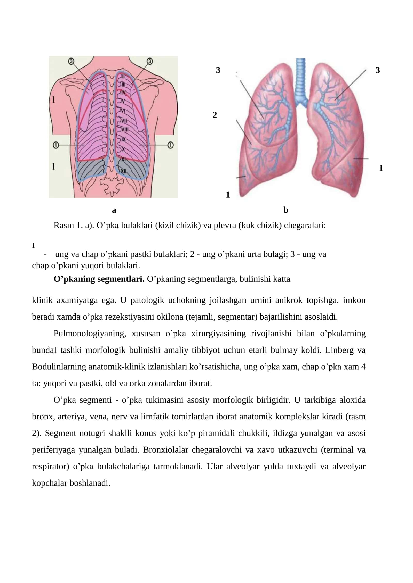 Ko’krak qafasi organlarining ochiq va yopiq jaroxatlanishi 3