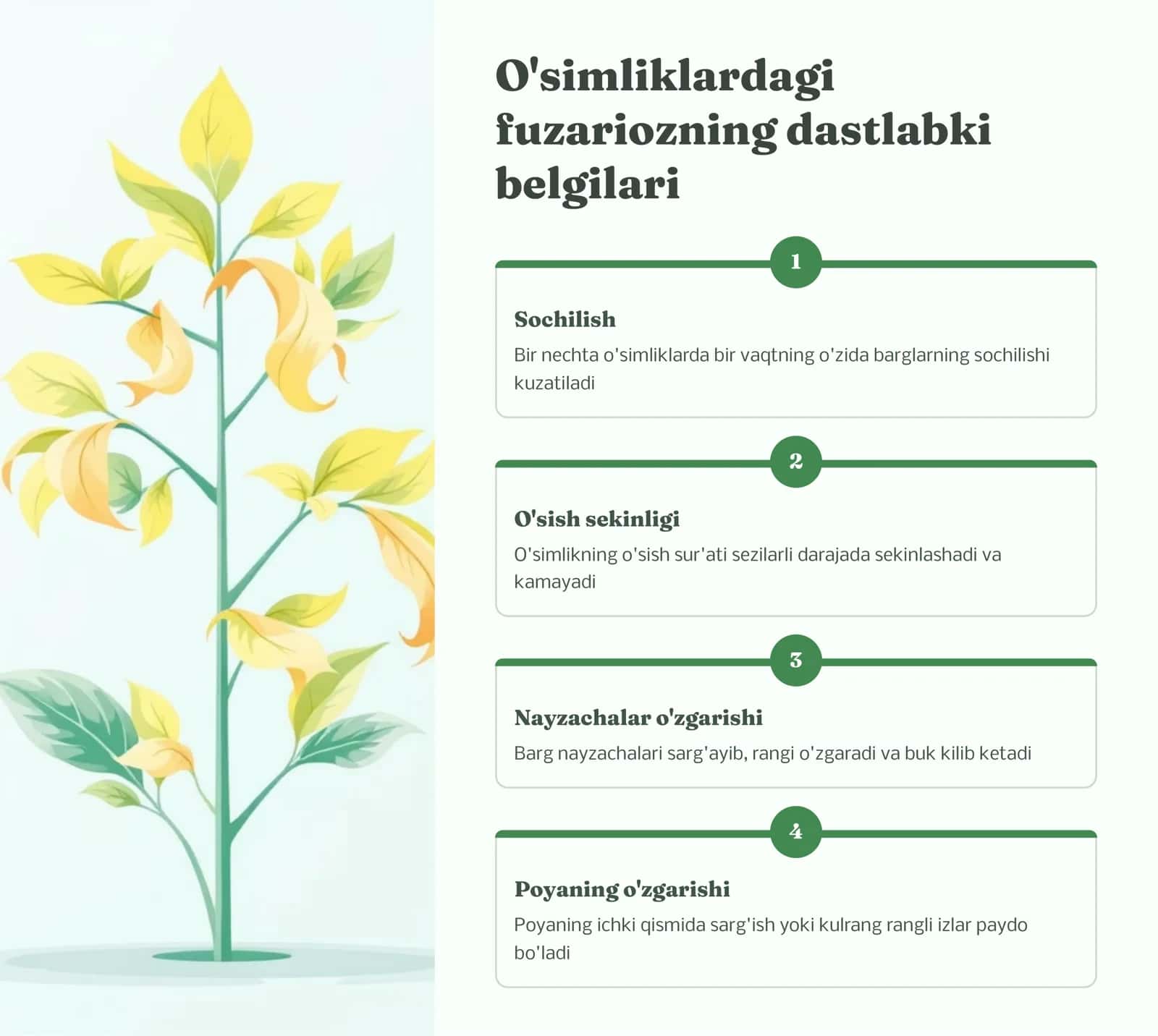 Qishloq xo‘jaligi mahsulotlari zararkunandalariga qarshi kurash fanidan 3