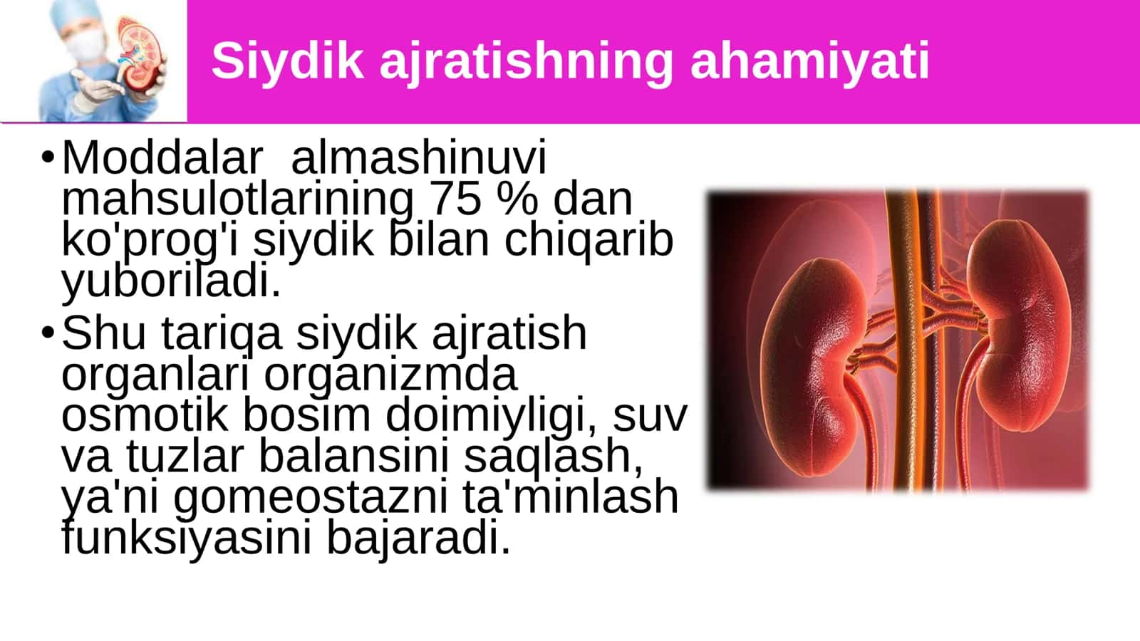 8-Sinf Biologiya: “Siydik Ayirish Organlarining Tuzilishi” Taqdimot 3