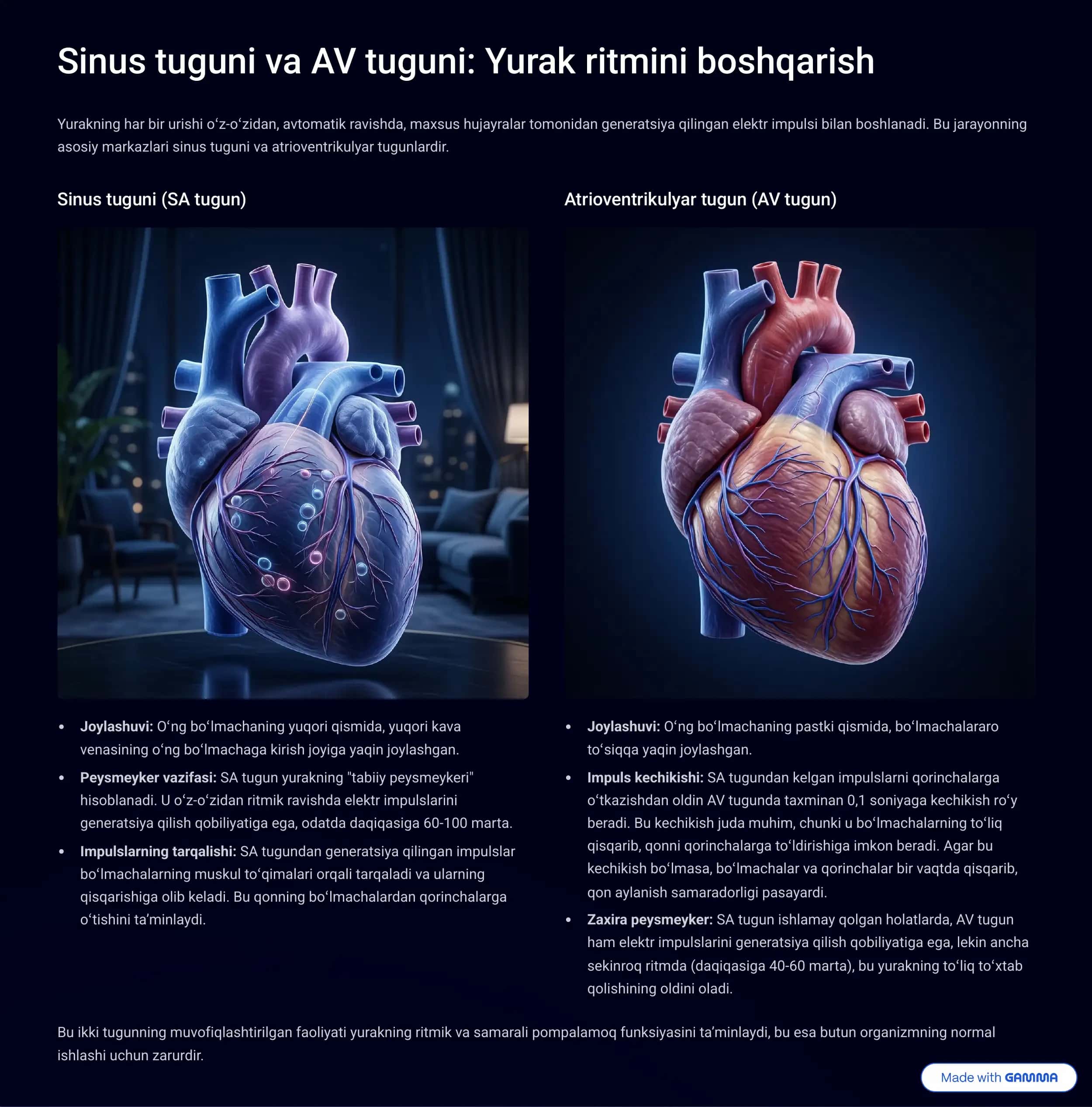 Yurak anatomiyasi va fiziologiyasi: Keng qamrovli ko'rib chiqish 3