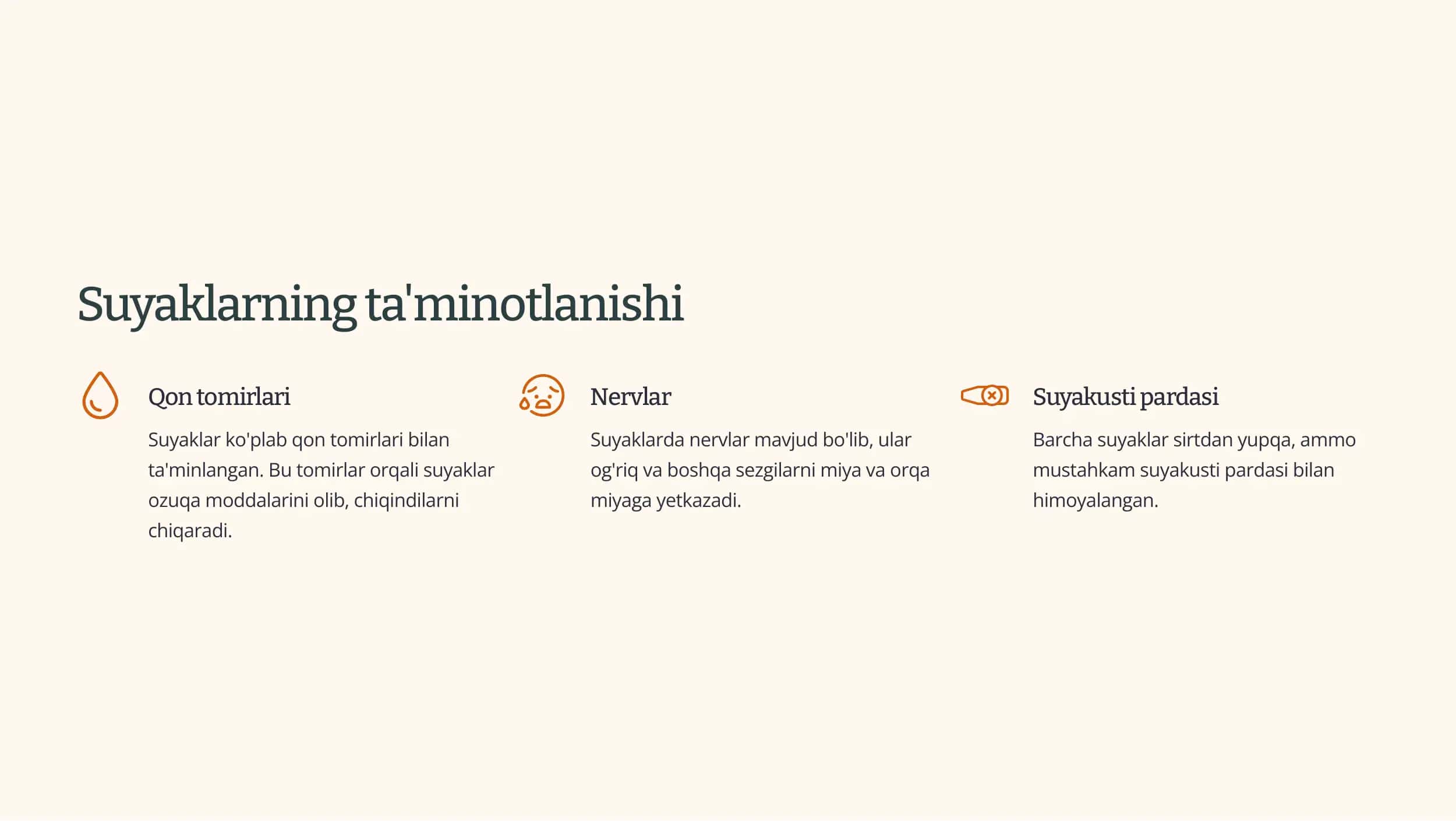 Suyaklarning tuzilishi va o'sishi 3