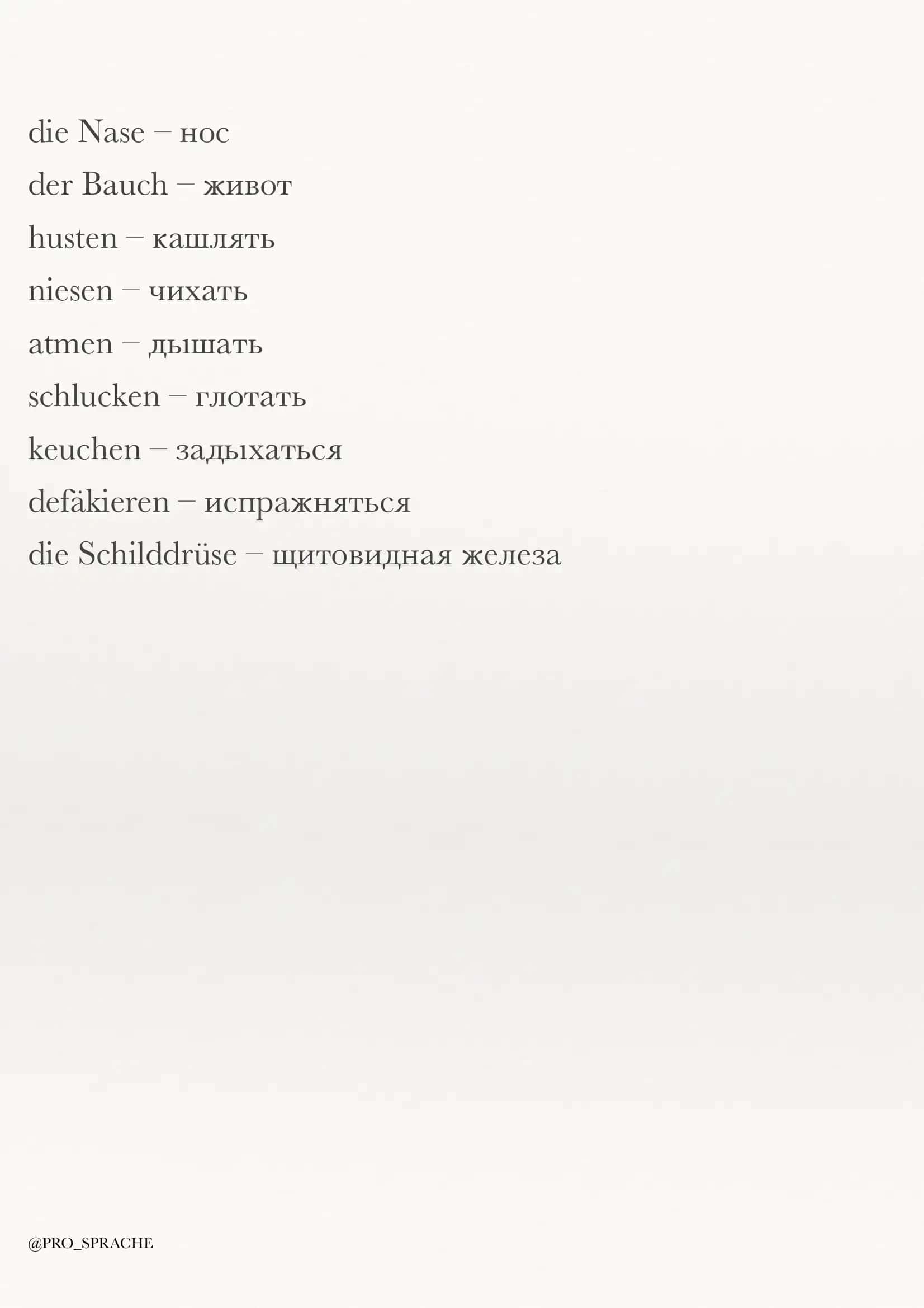 So'zlar nemis rus tili 3