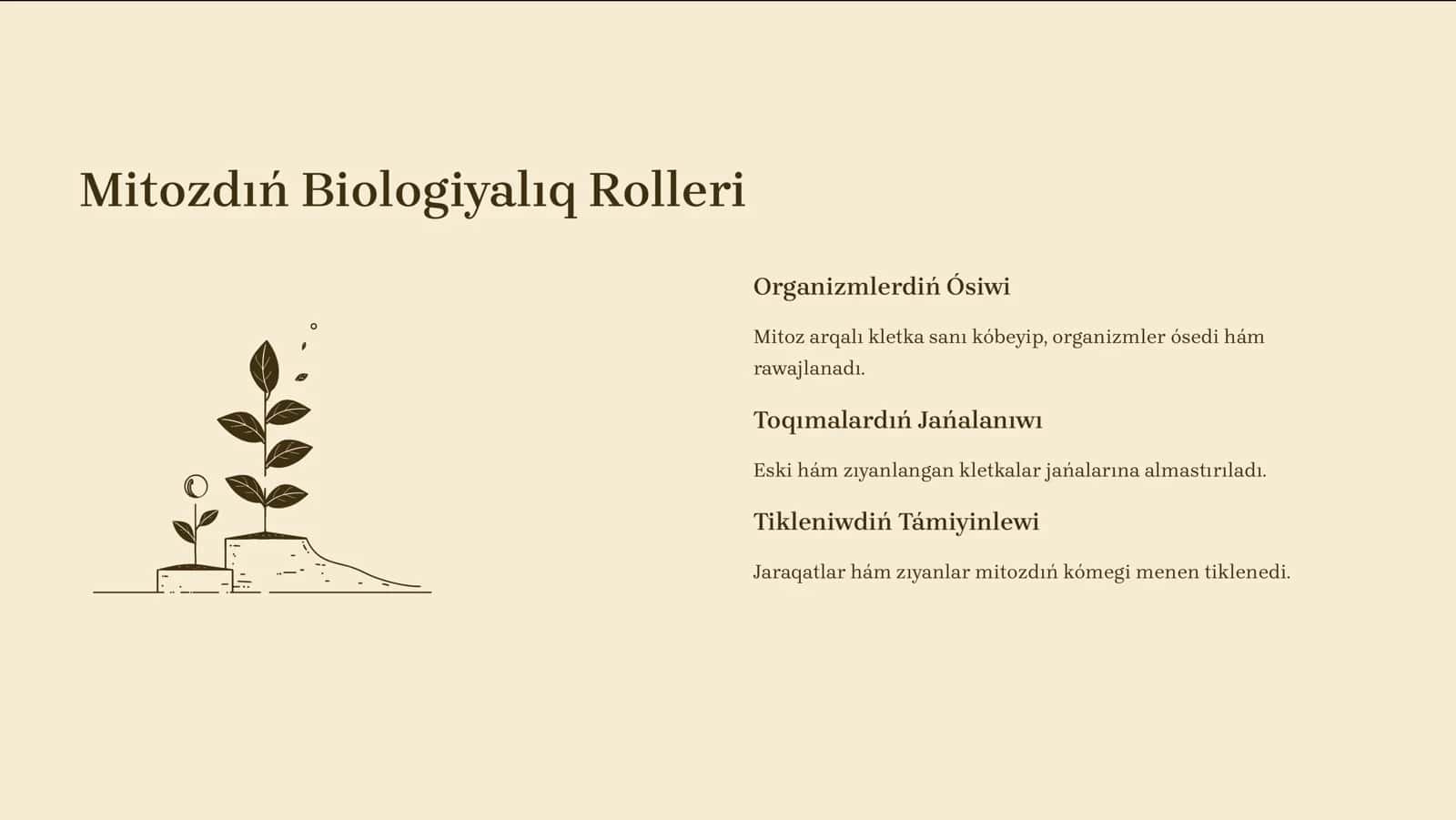 Mitoz bóliniw hám ogan tásir etiwshi genetikal1q hám ekologiyal1q faktorlar 3
