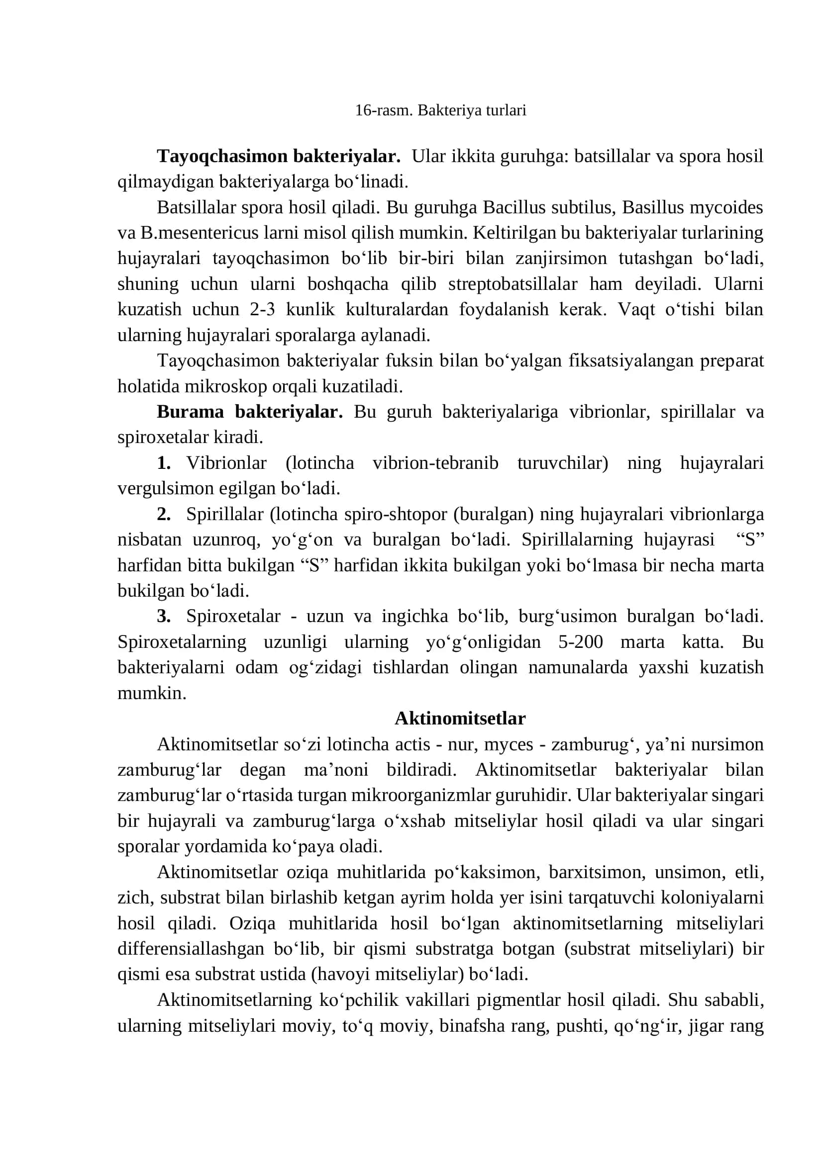 BAKTERIYALAR, ZAMBURUG’LAR VA AKTINOMETSITLAR 3