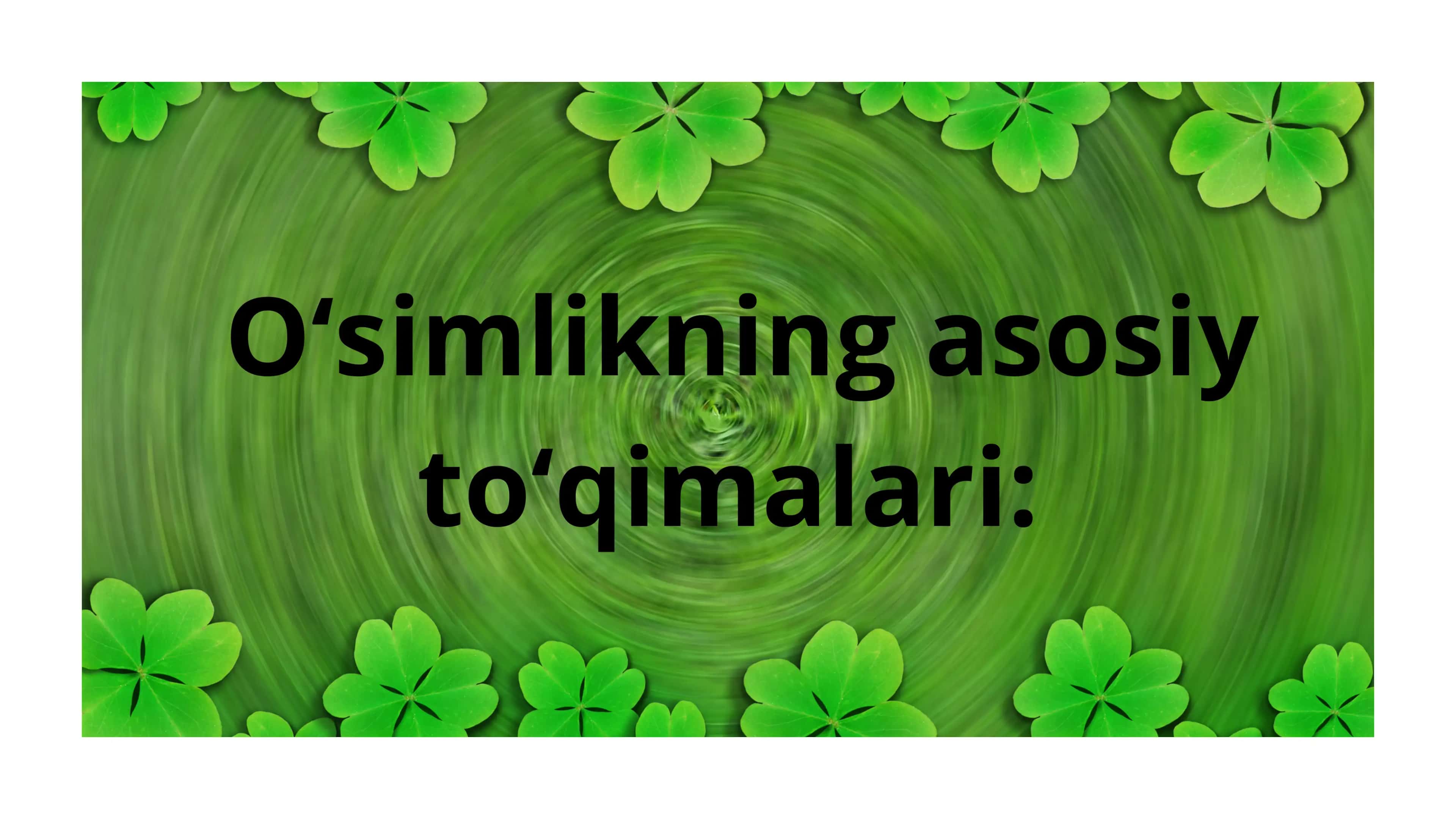 O'simliklar ANATOMIYASI VA FIZIOLOGIYASI 3