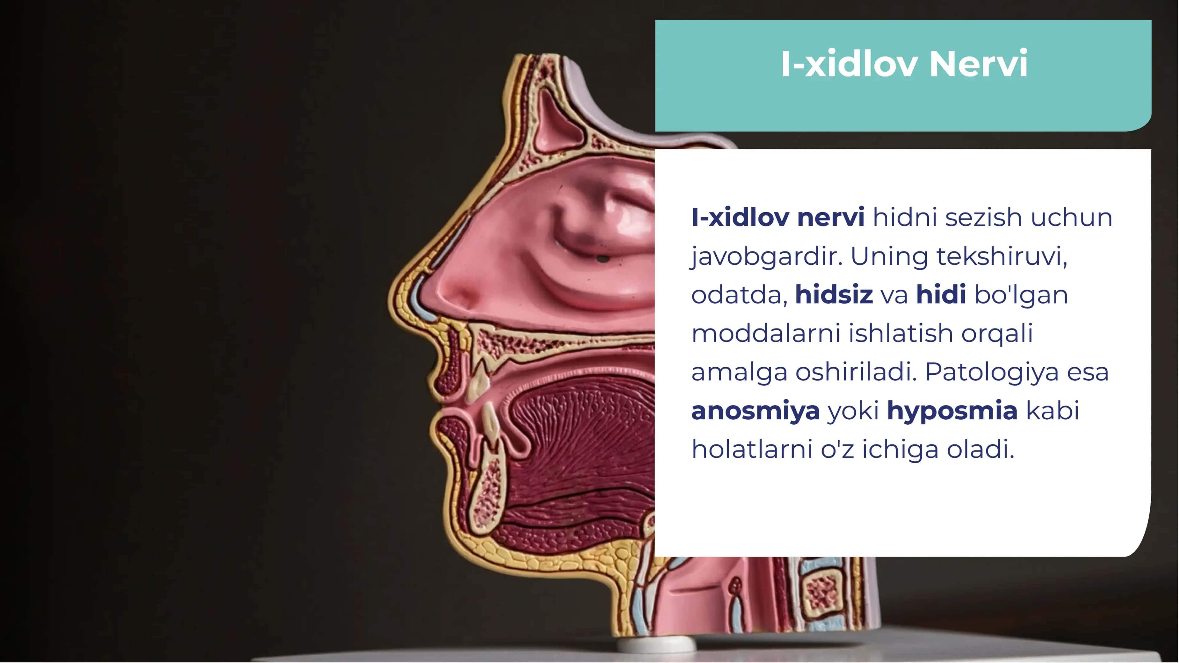 Bosh miya nervlari. I-xidlov nervi, II-ko'ruv nervi, VIII-eshituv nervi III-ko'z harakatlantiruvchi nervi IV-g'altak nervi  VI- uzoqlashtiruvchi nervi  tekshirish usullari va patologiyasi 3