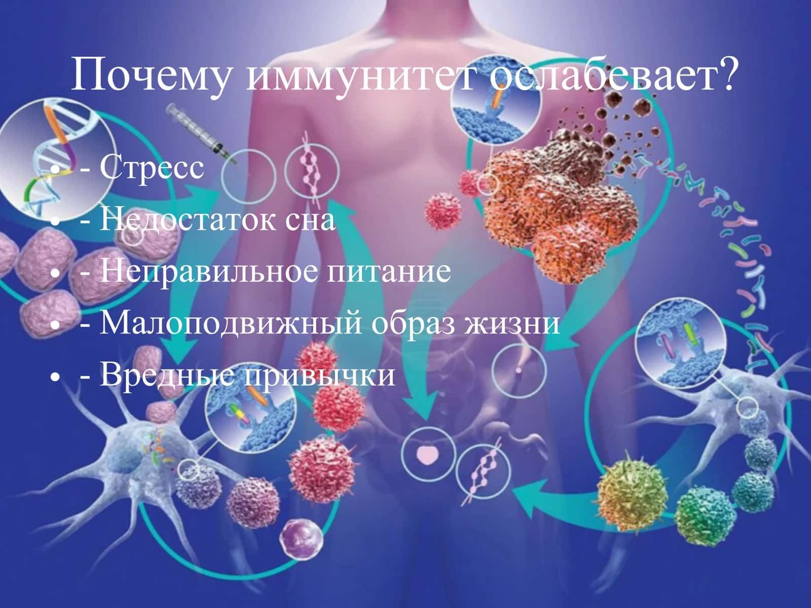 Как укрепить иммунитет 3