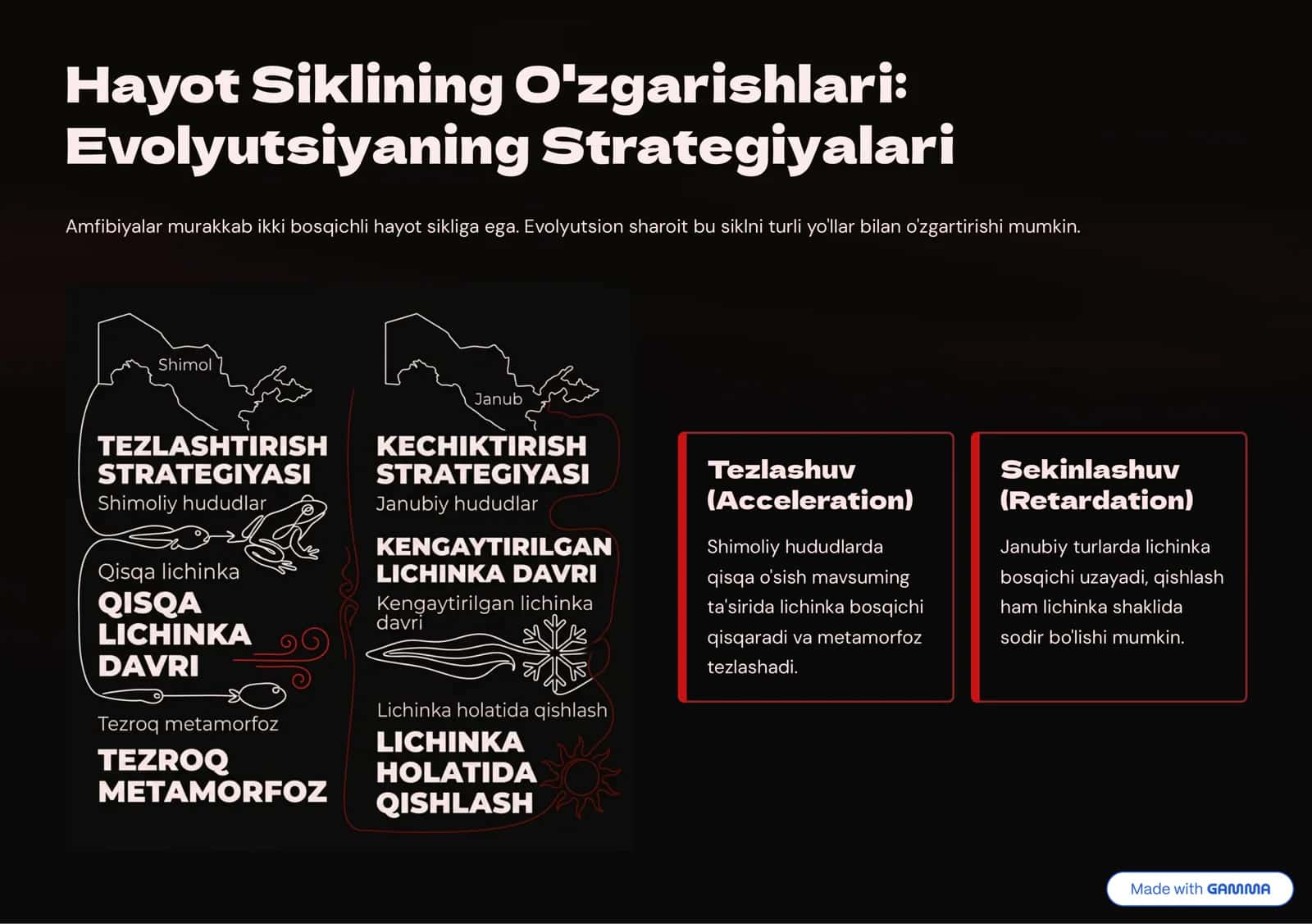 Amfibiyalarning Ekologiyasi va Muhofazasi 3