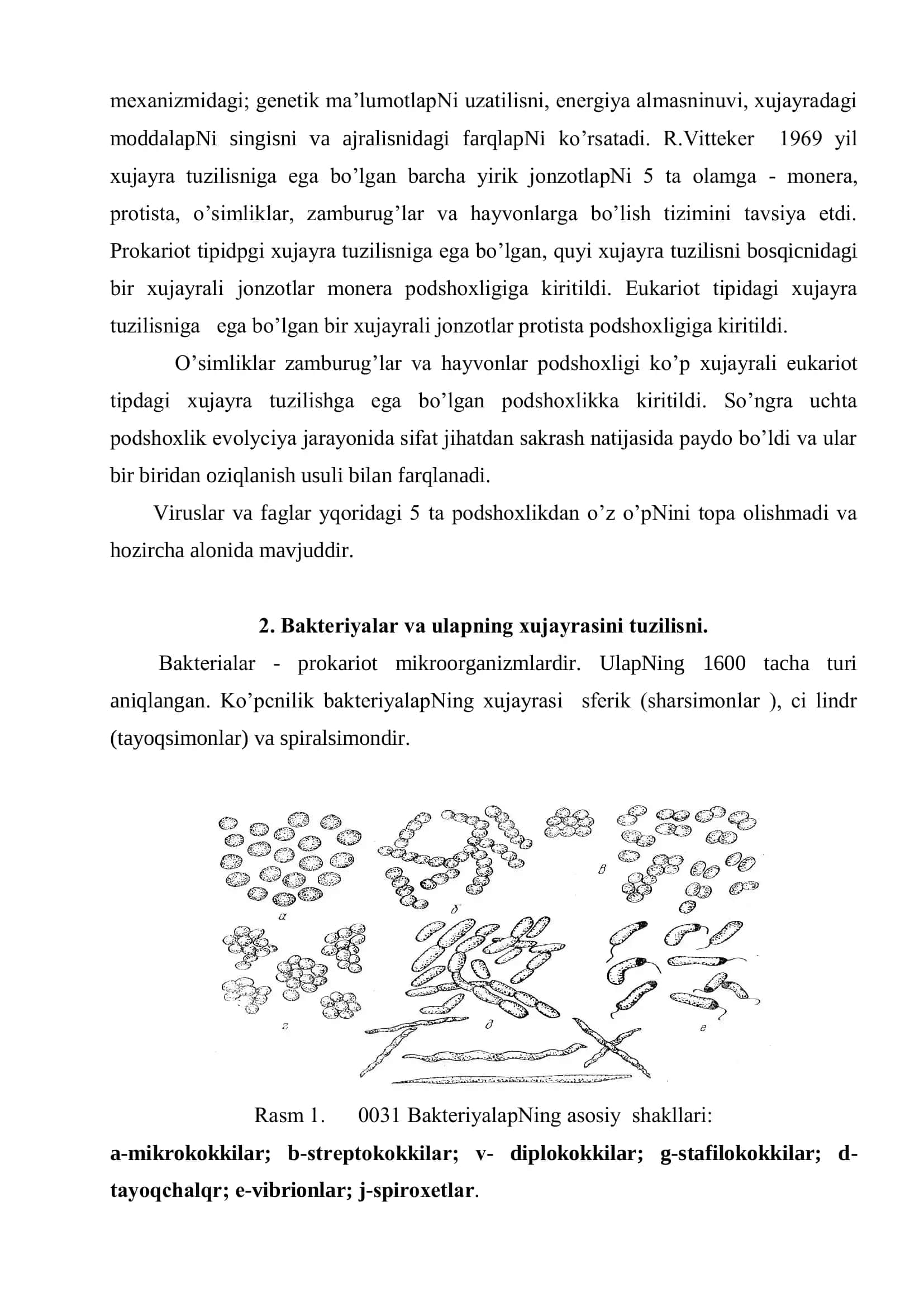 Mikroorganizmlap morfologiyasi va umumiy tavsifi 3