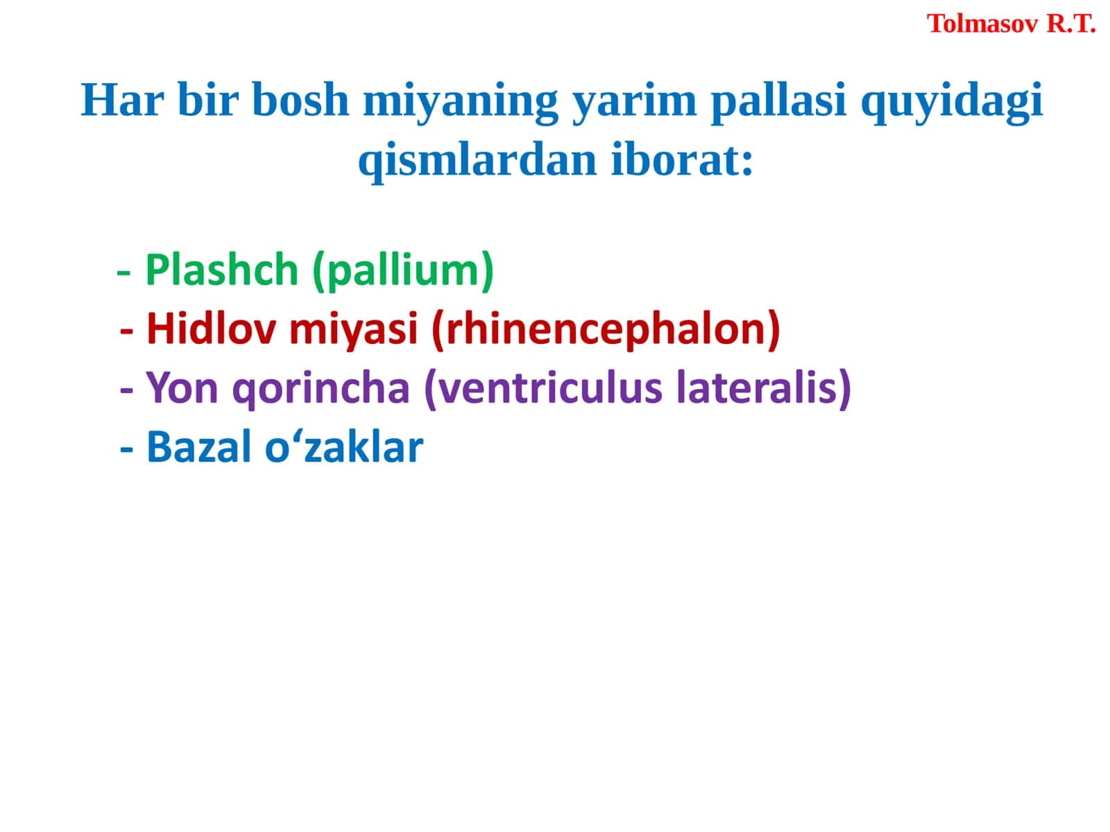 BOSH MIYA (ENCEPHALON) 3