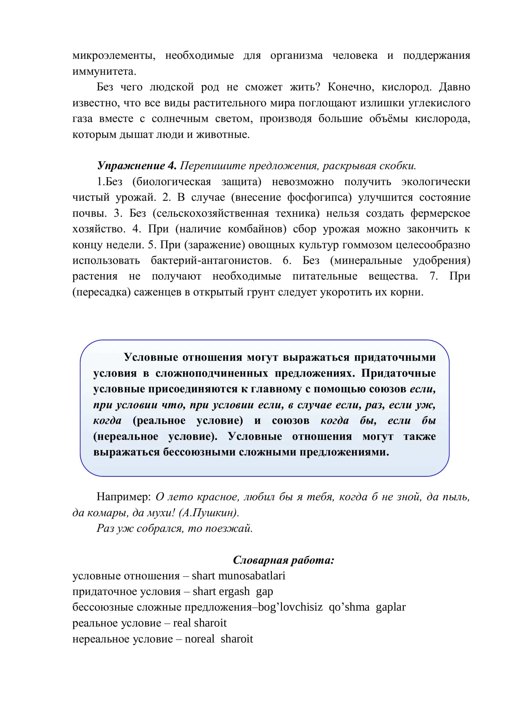 РУССКИЙ ЯЗЫК 3