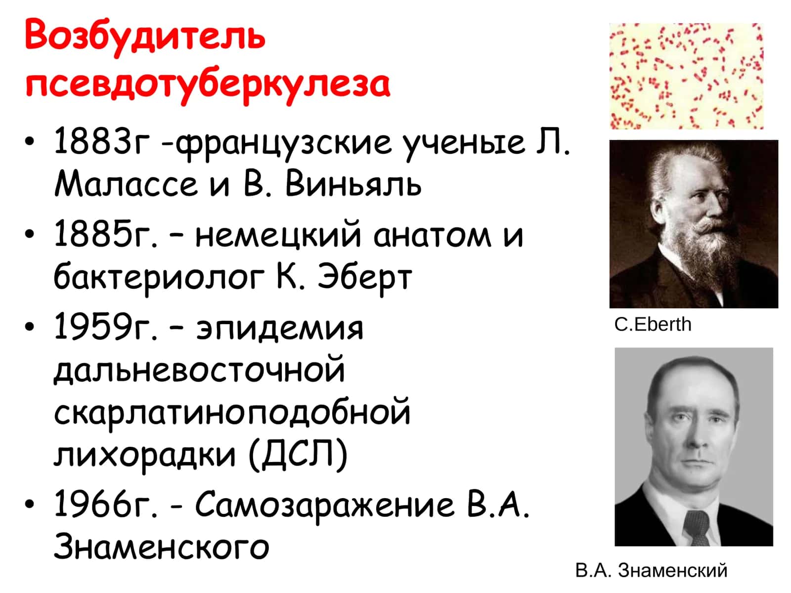 Возбудители кишечных инфекций 3