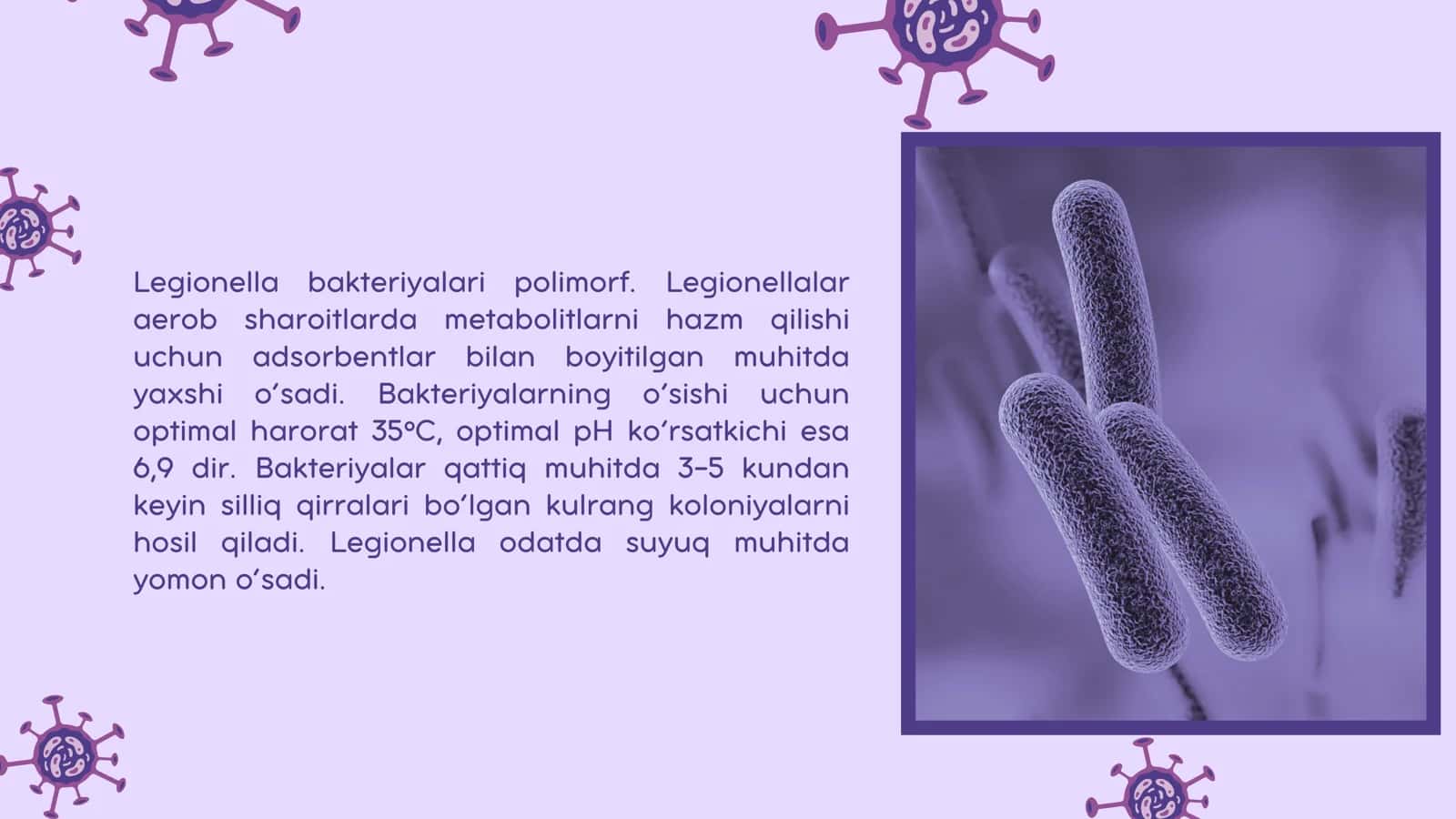 Legionellyoz. Etiologiya epidemiologiya, klinikasi, diagnostika, davolash 3