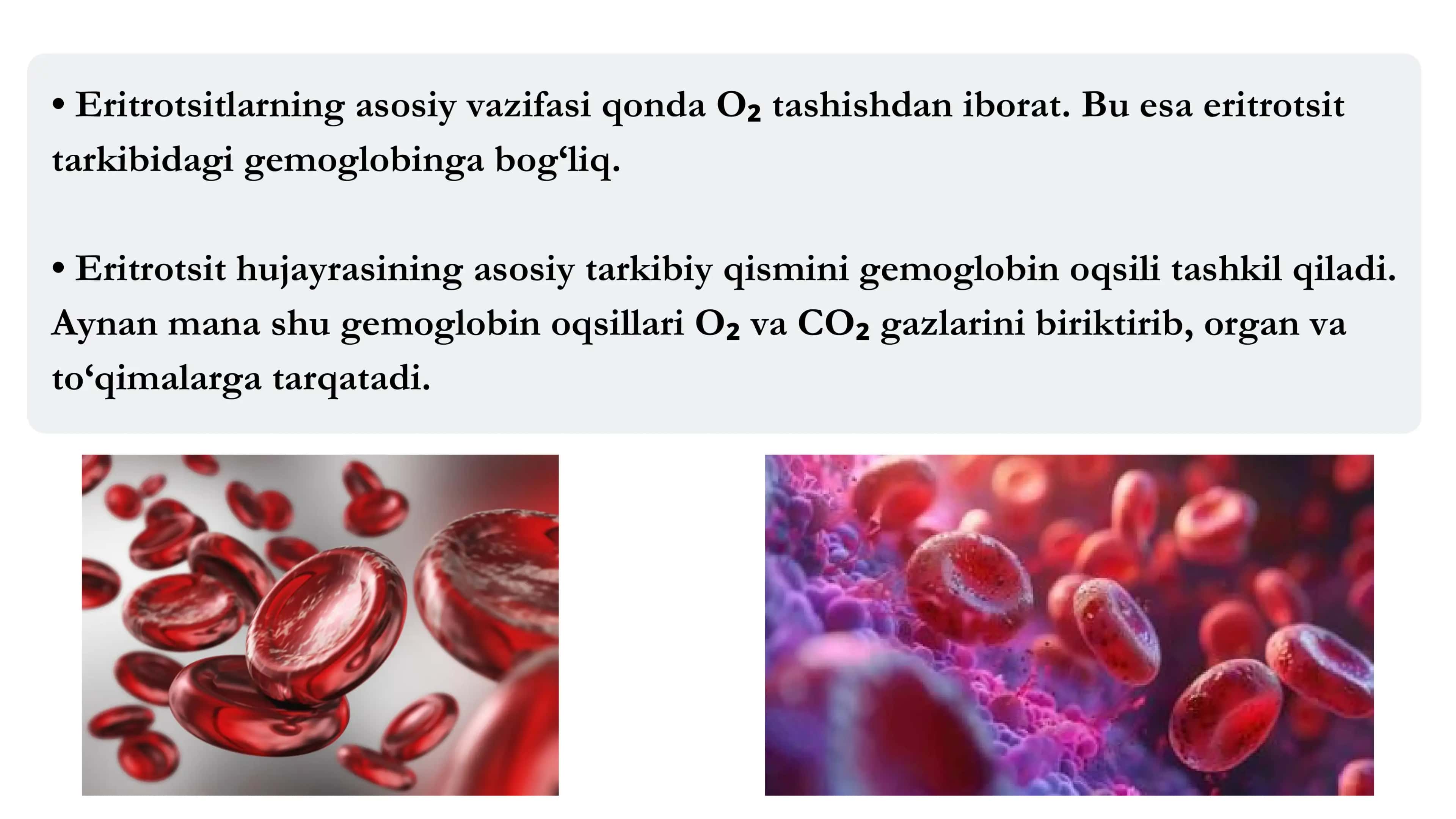 Intensiv fiziologiya 3