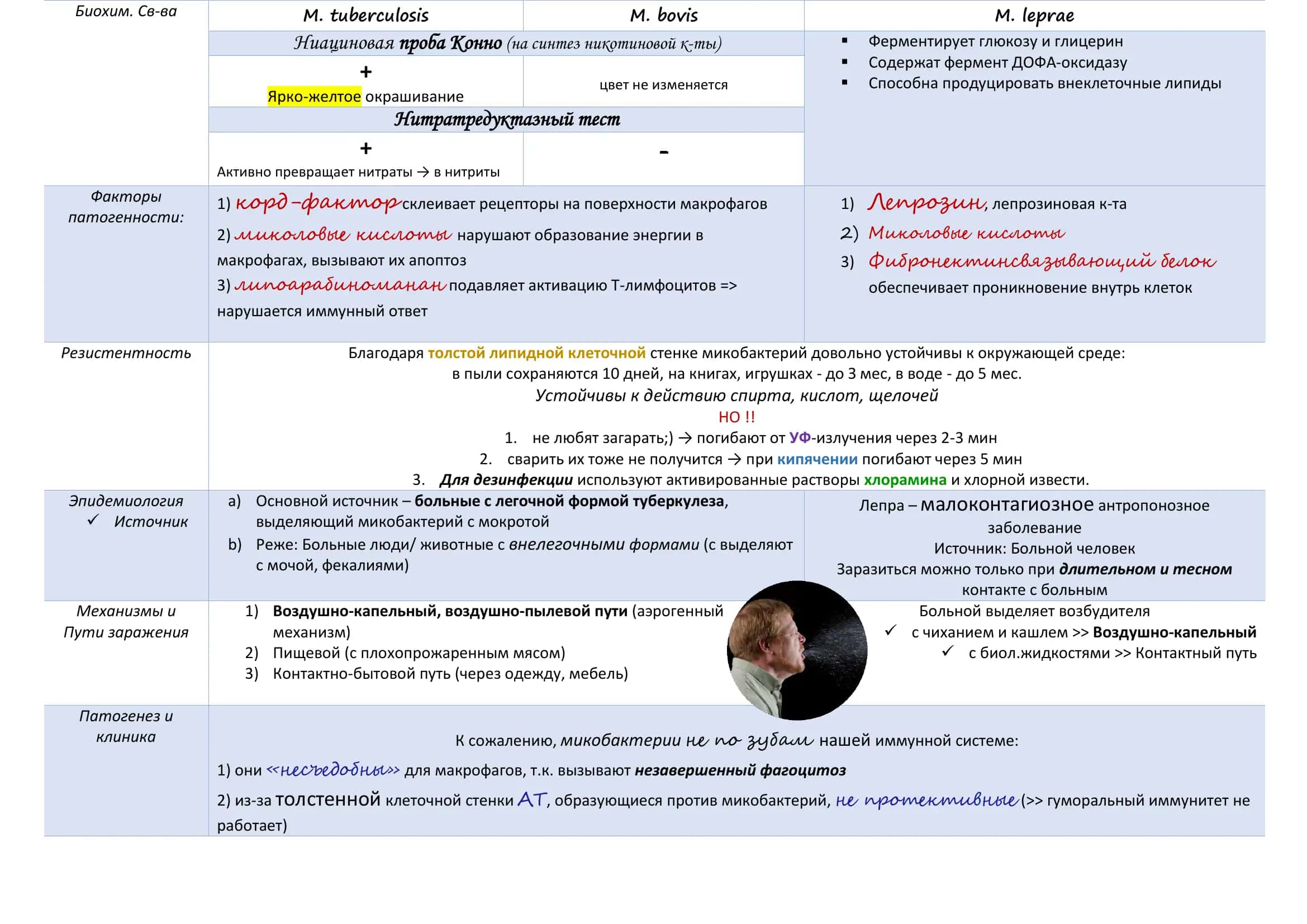 Туберкулез 3