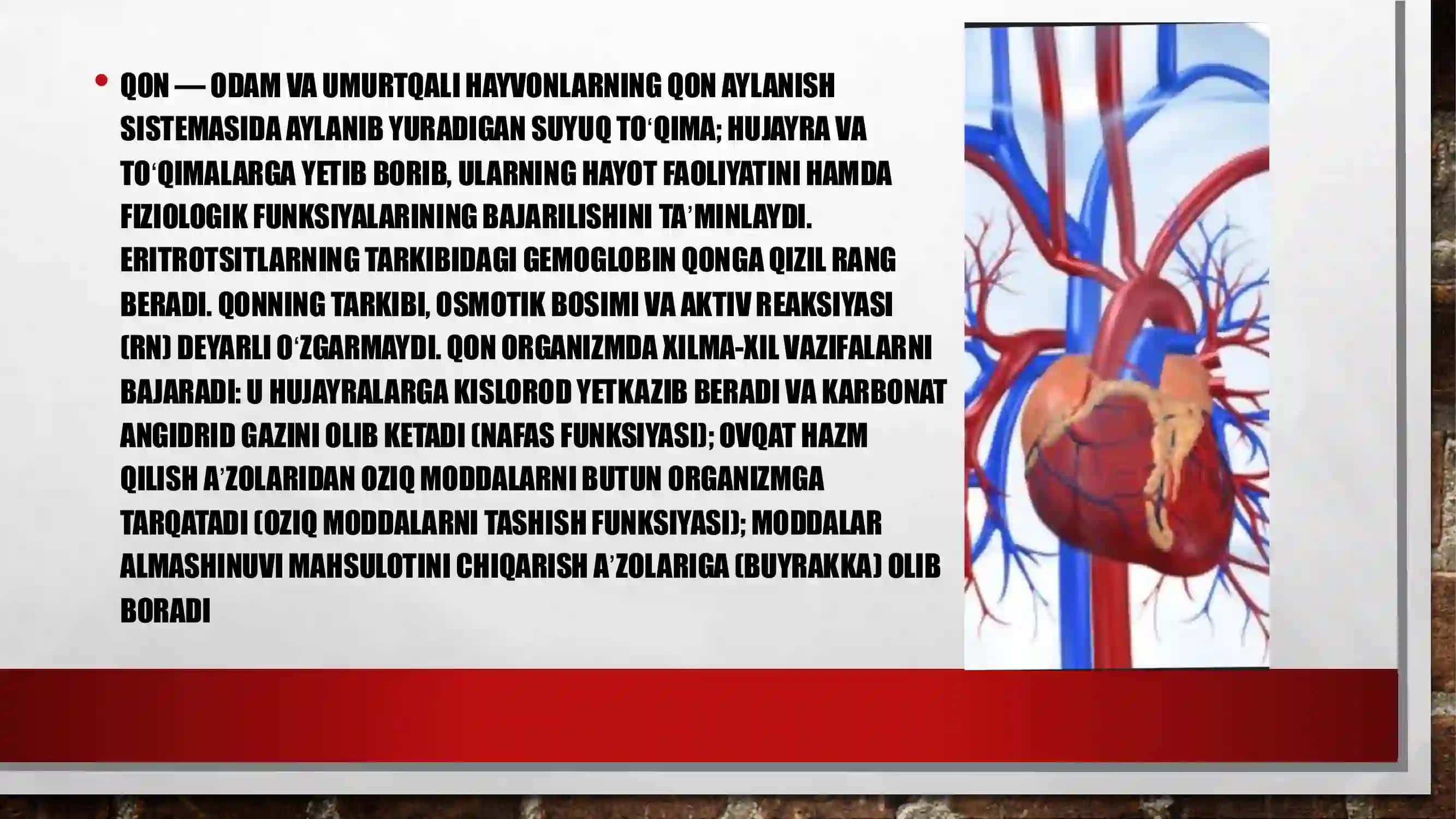 QON.QON GURUHLARI. REZUS FAKTOR 3