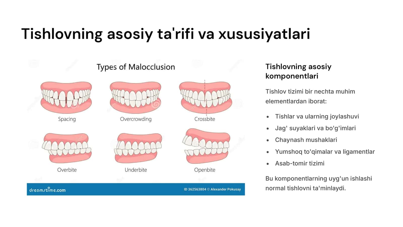 tishlov va uning turlari. Fiziologik va Patologik tishlov turlari. 3