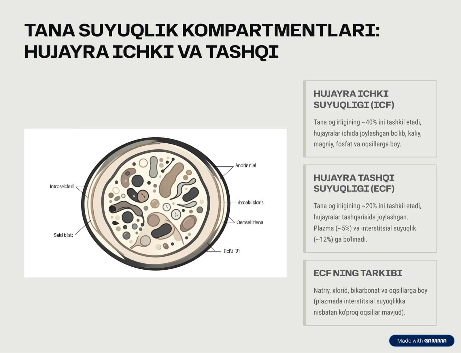 BIOLOGIK SUYUQLIKLARI 3