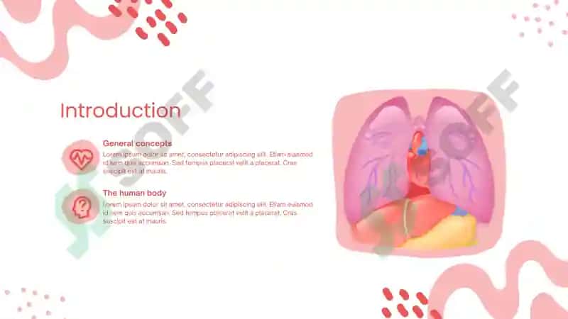 THE HUMAN BODY Studio 3