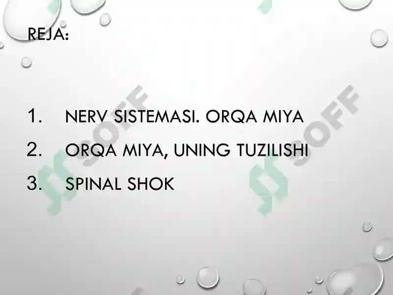 Orqa miyaning reflektor va o'tkazuvchi yo'l faoliyati, tekshirish usullari 3