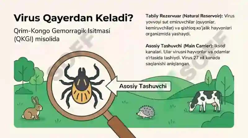 Transmissiv Kasalliklar: Kichik Dushmanlarga Qarshi Katta Qo1llanma. Ku isitmasi 3