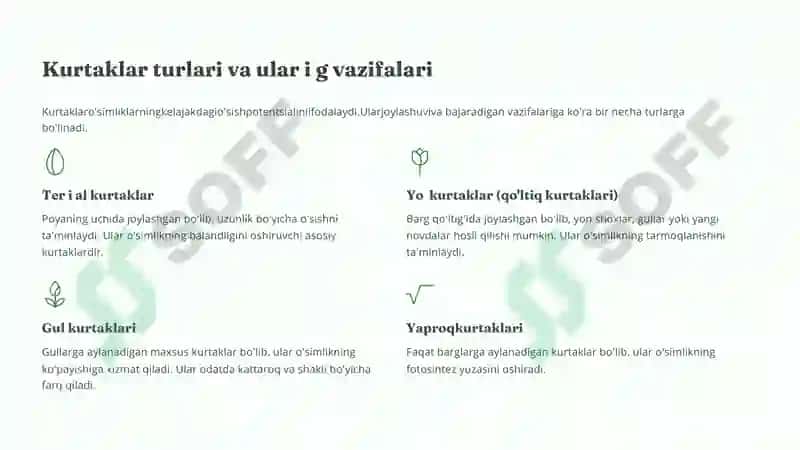 Novda va kurtaklar 3
