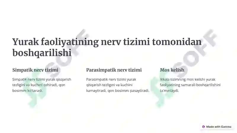 Yurak-qon aylanish tizimi 3