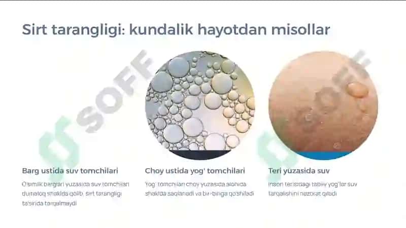 Sirt tarangligini tomchi uzulish usuli yordamida aniqlash 3