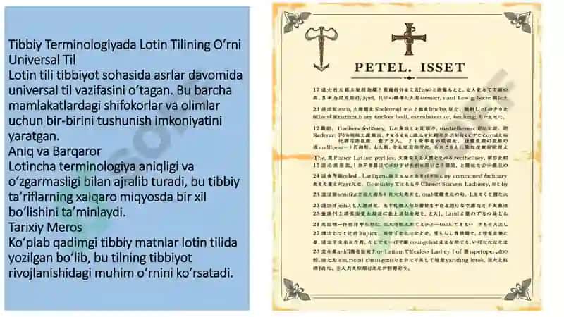 tibbiyot va san'at 3