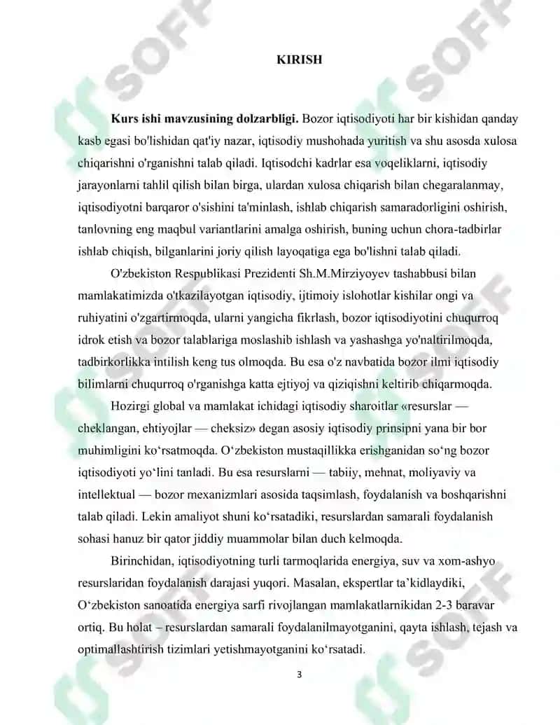 Bozor iqtisodiyoti sharoitida resurslardan samarali foydalanish muammolari 3