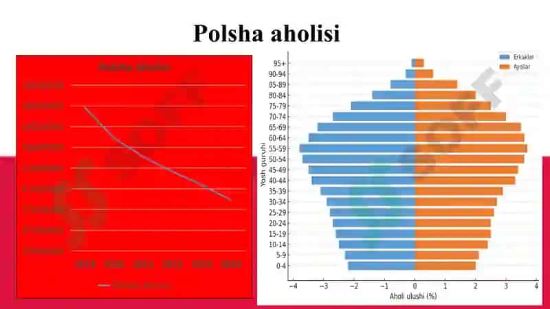Polsha Statistikasi 3