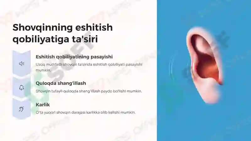 Shovqinning ta'rifi va turlari 3