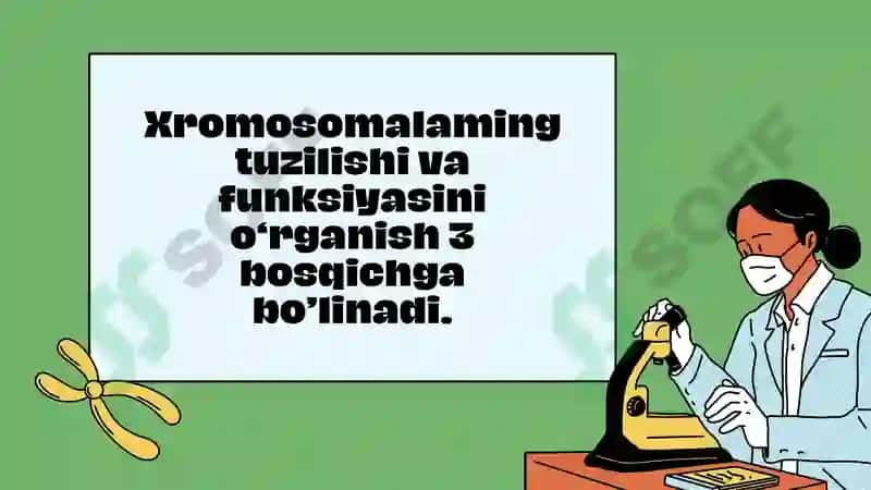 inson genetikasi 3