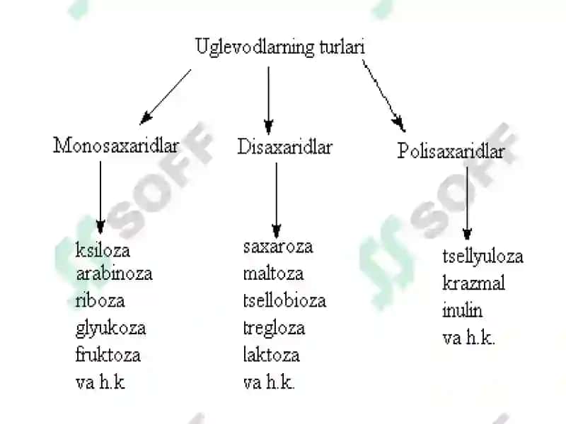 Biokimyo Karbonsuvlar 3