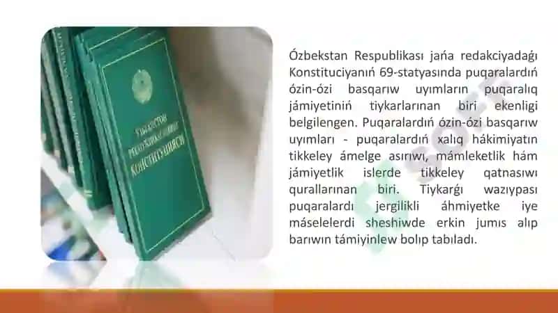 Puqaralardıń ózin-ózi basqarıw uyımları. Puqaralıq jámiyeti institutları 3