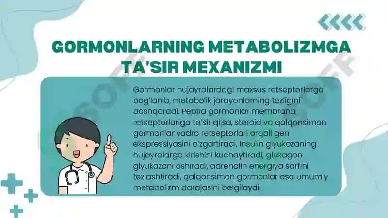 Moddalar almashinuvi va funksiyalarini gоrmоnlаr orqali boshqarilishi. 3