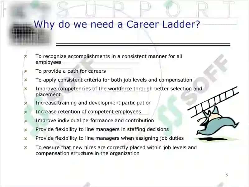 Career Ladder 3