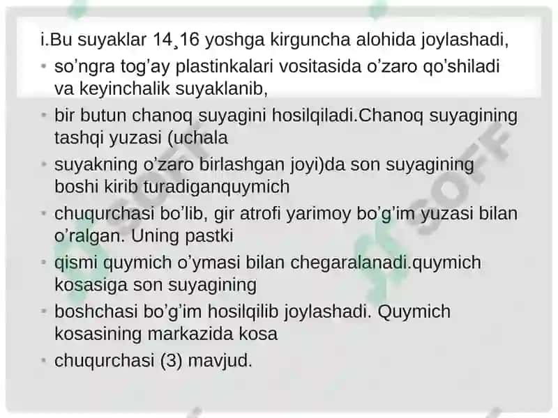 Chanoq kamari va oyoqning erkin suyaklari 3