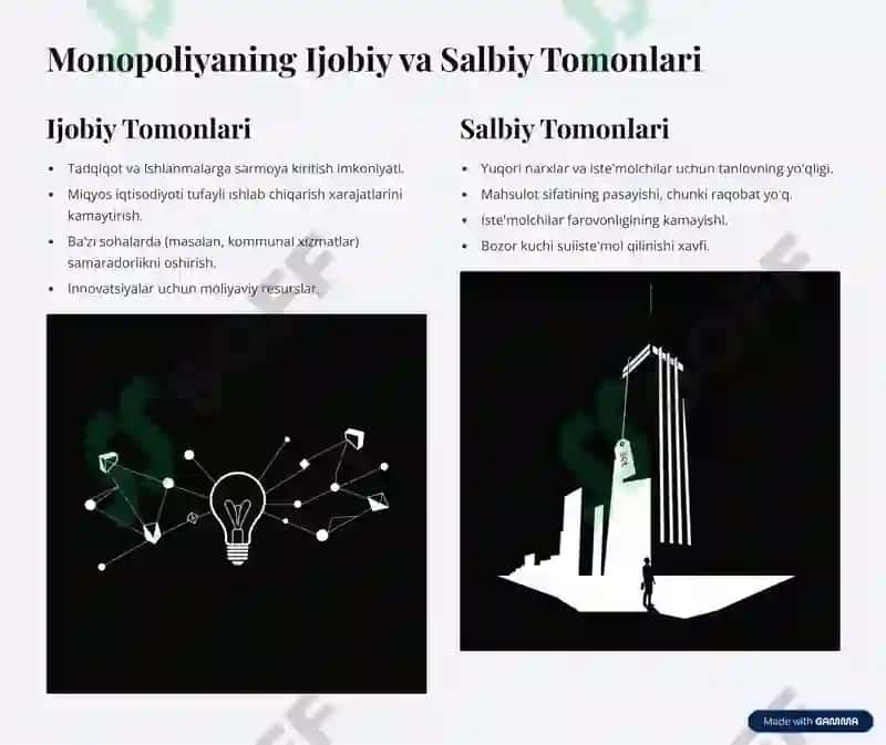 Monopoliyaning Ta'rifi va Asosiy Xususiyatlari 3