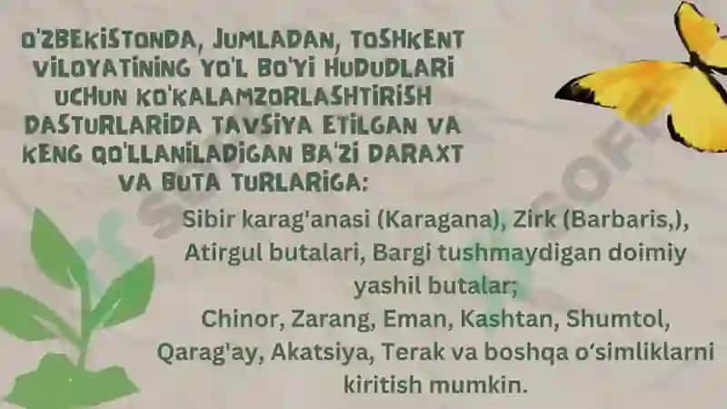 Sibir karag'anasi (Karagana), Zirk (Barbaris,), Atirgul butalari, Bargi tushmaydigan doimiy yashil butalar 3