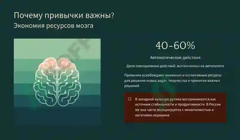 привычки и навыки личности 3