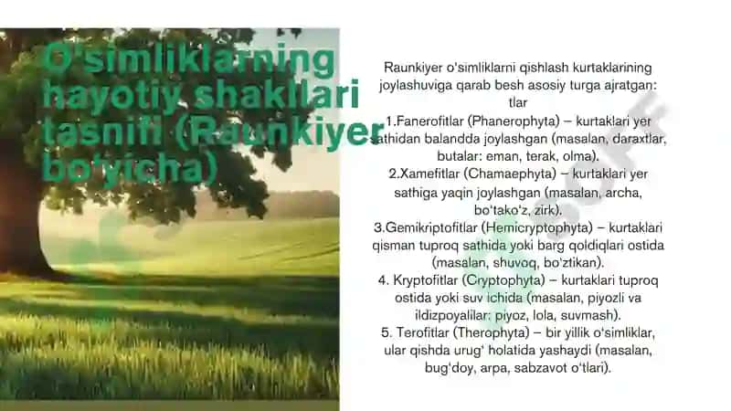 O'simliklarning hayotiy shakllarini o'rganish va tahlil qilish 3