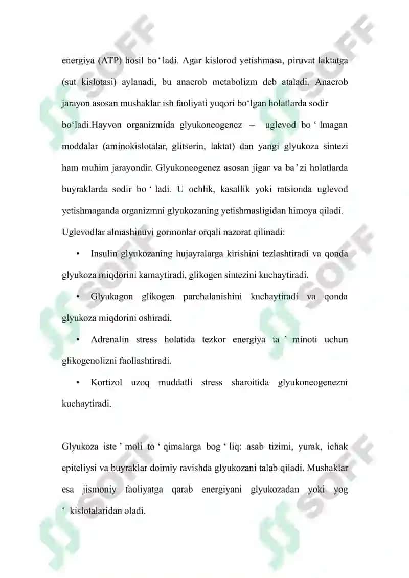 Hayvonlarda uglevodlar almashinuvining asosiy jarayonlari 3