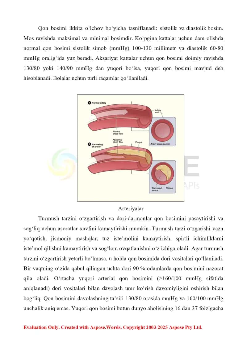 6. Arterial gipertenziyalar, patofiziologiyasi, davolash usullari. Referat 9 bet. 3
