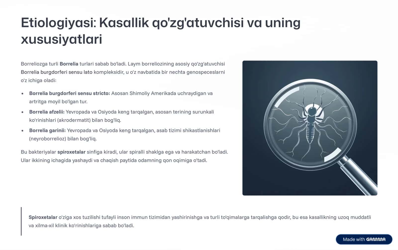 Borrelioz: Etiologiyasi, Patogenezi, Diagnostikasi va Davolash 3